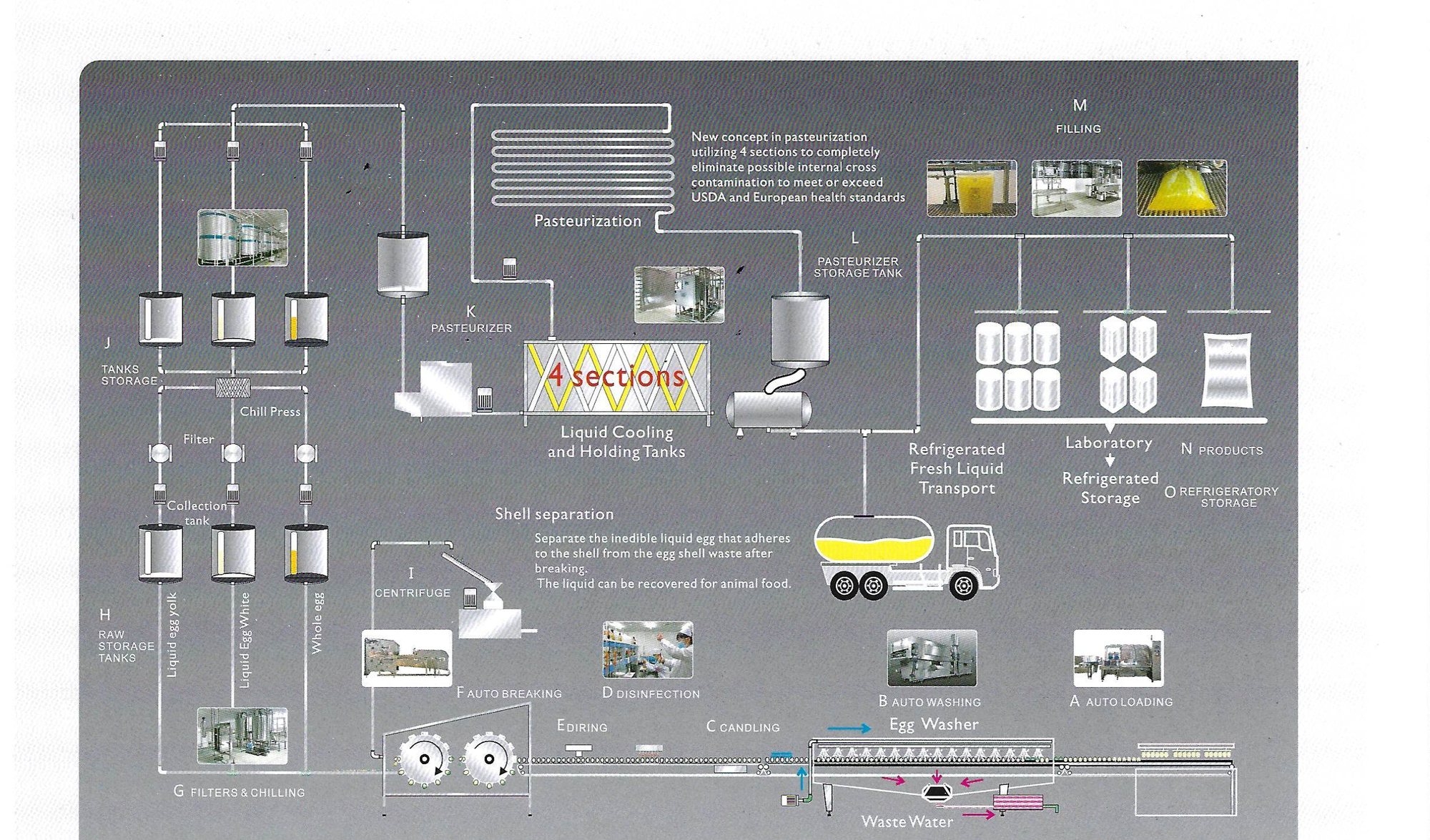 BTH egg breaking and processing flow diagram: egg loading and washing, candling, breaking and separation, filtration and chilling, raw storage tanks, pasteurization, liquid cooling and holding tanks, filling, and refrigerated storage